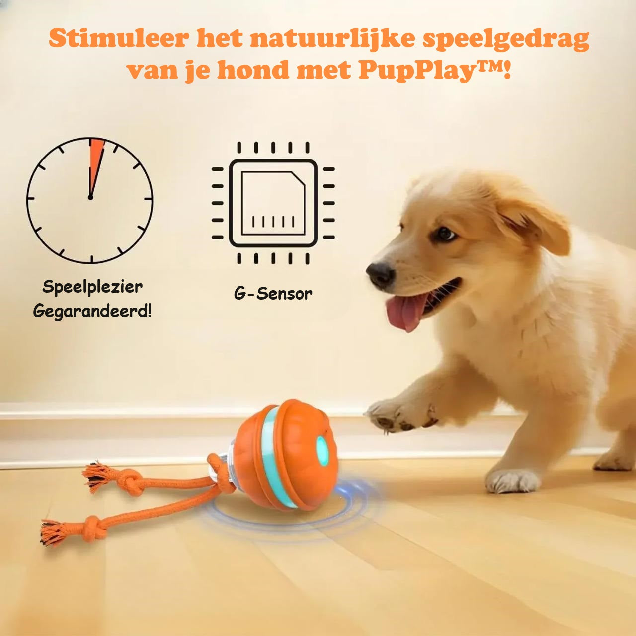 Hundelegetøj | Interaktiv leg | Mental stimulering | Plastik Pantino
