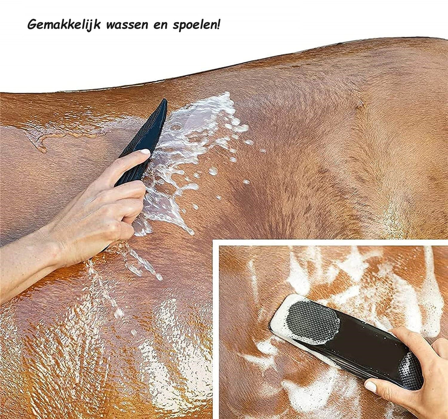 Hestebørste | Antihæftende | Effektiv rengøring | ABS-plast Pantino