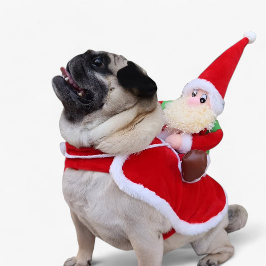 Hundehættetrøje | Juletema | Varme og komfort | Fleece Pantinoshop
