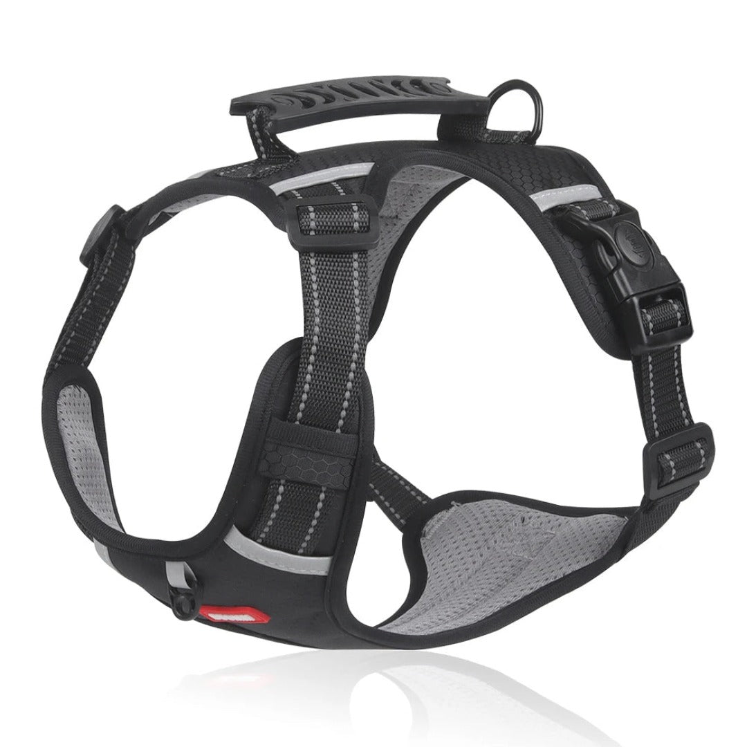 Hundesele | Justerbar pasform | Antifilteffekt | Nylon Pantino