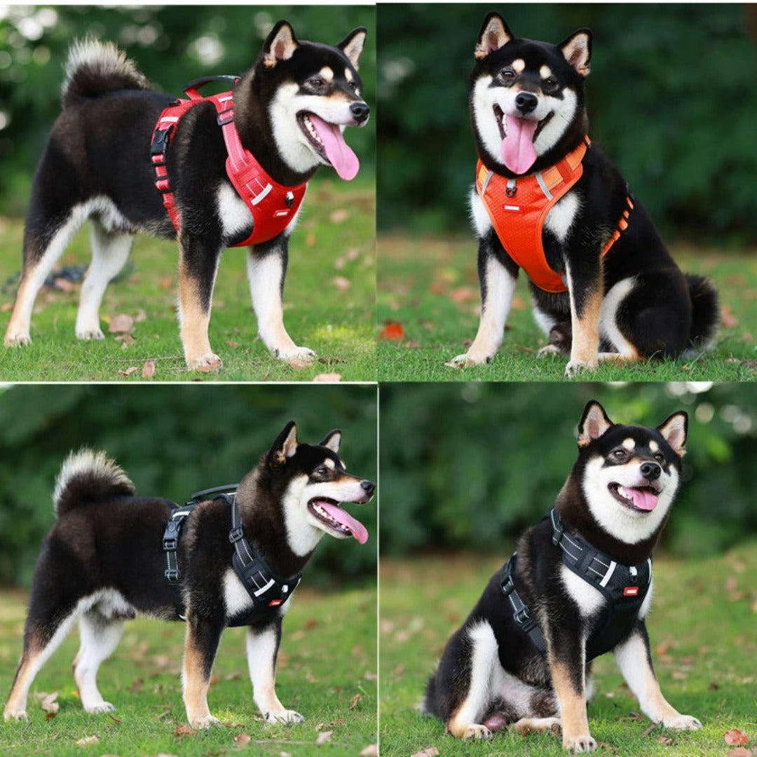 Hundesele | Justerbar pasform | Antifilteffekt | Nylon Pantino