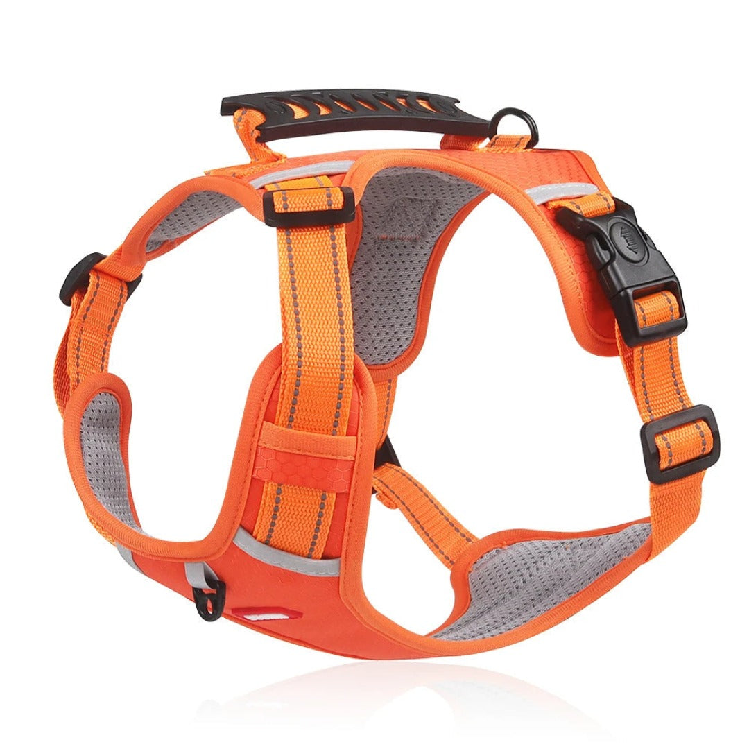 Hundesele | Justerbar pasform | Antifilteffekt | Nylon Pantino