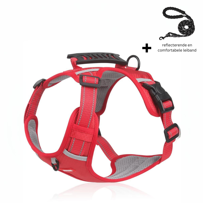 Hundesele | Justerbar pasform | Antifilteffekt | Nylon Pantino