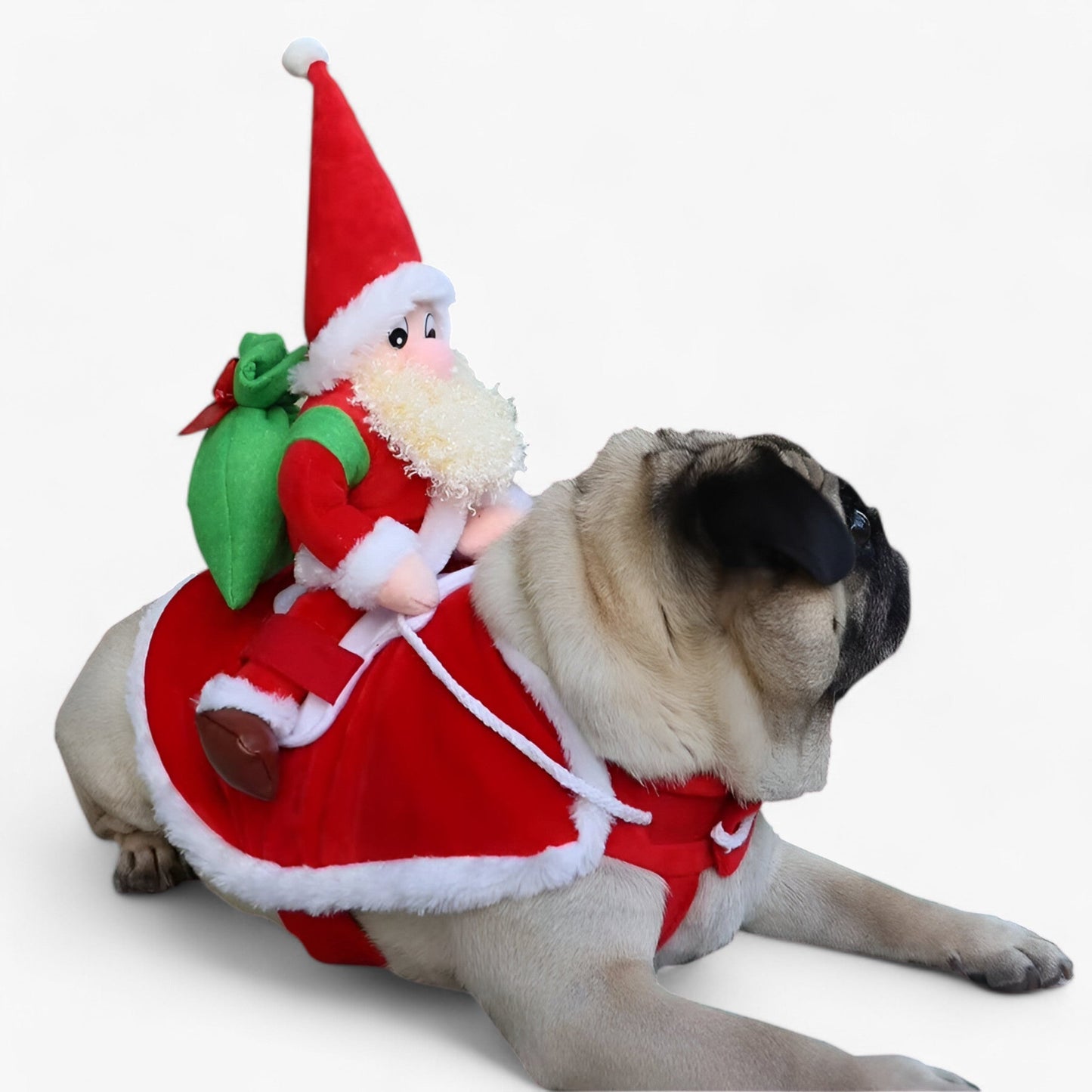 Hundehættetrøje | Juletema | Varme og komfort | Fleece Pantinoshop