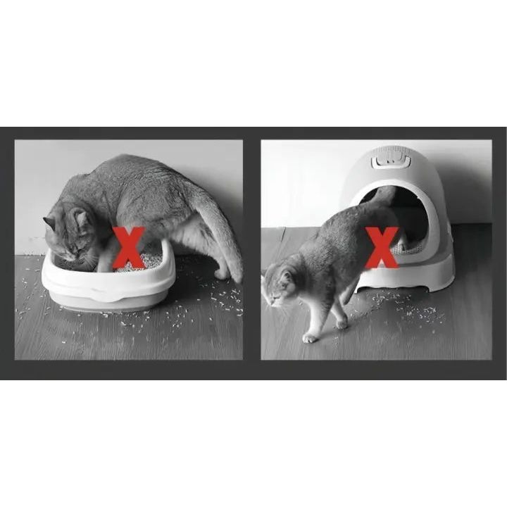 Katzenstreumatte – Halten Sie Ihre Böden sauber und streufrei! Mivoza Deutschland