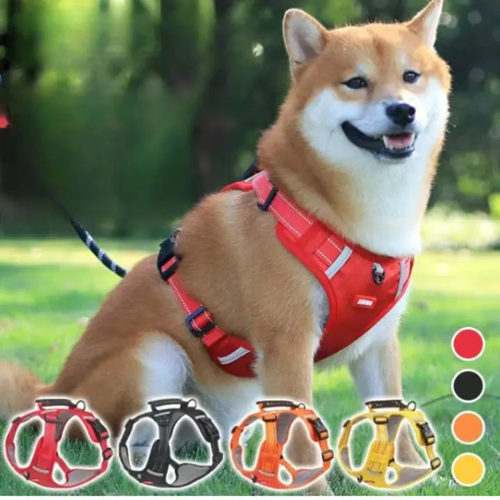No-Pull Hundegeschirr mit Reflektierendem Nylon Mivoza Deutschland