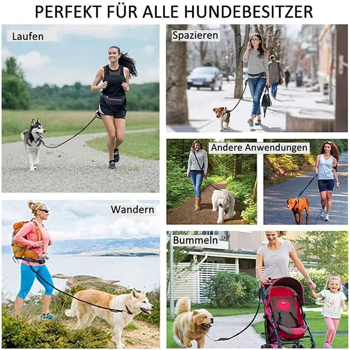 🔥Heißer Verkauf🔥Auf freihändige Hundeleine mit Reißverschlusstasche Zorenza