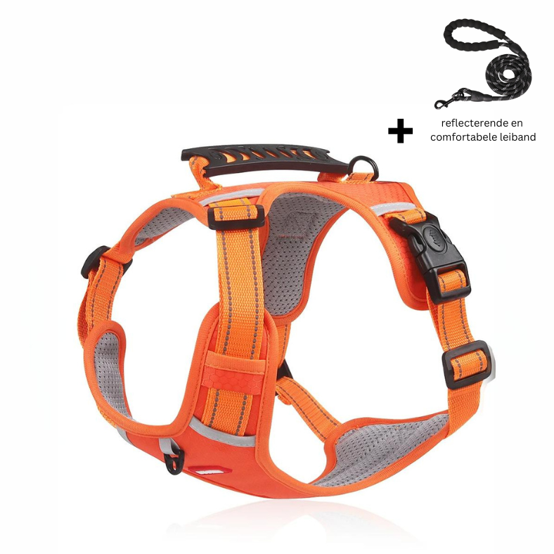 Hundesele | Justerbar pasform | Antifilteffekt | Nylon Pantino