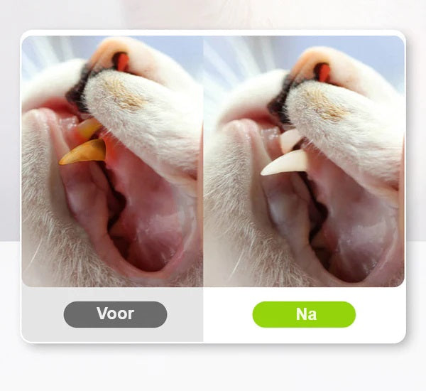 Kattekloremåtte | Antihæftende | Stressreduktion til kat | Papir Pantino