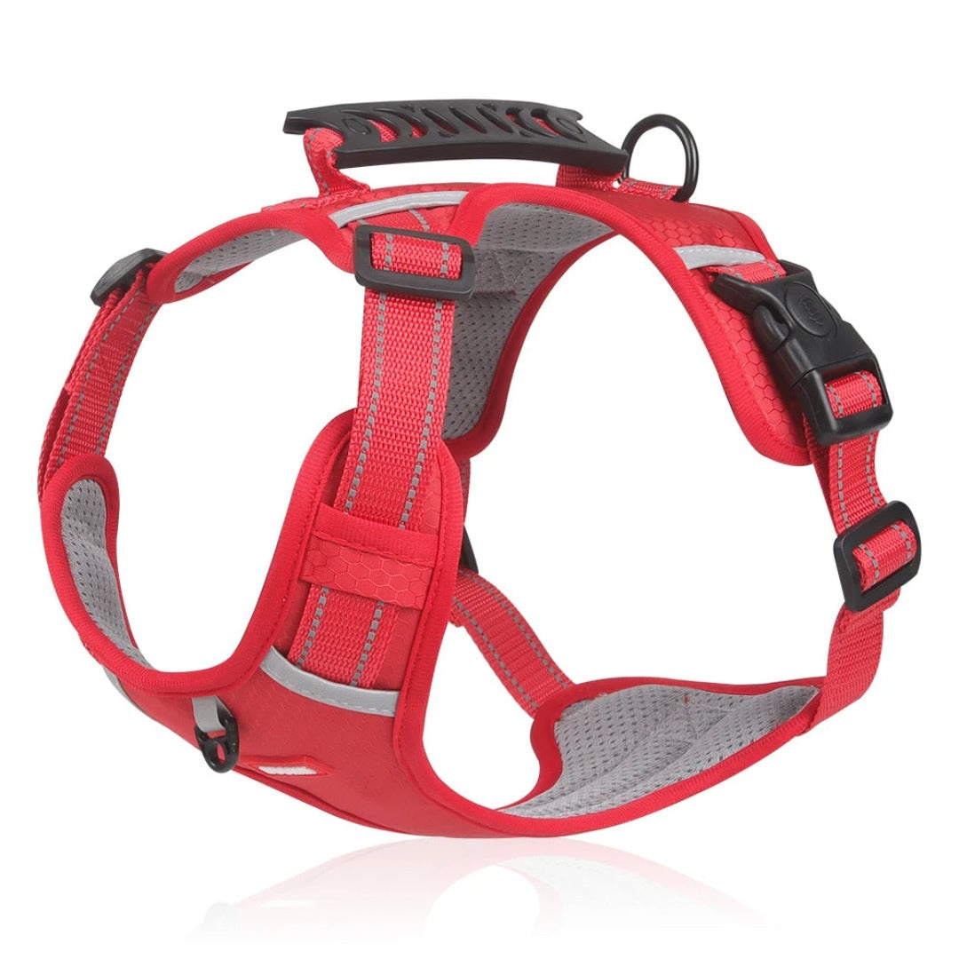 Hundesele | Justerbar pasform | Antifilteffekt | Nylon Pantino