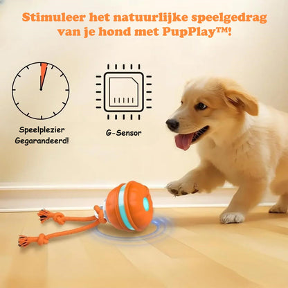 Hundelegetøj | Interaktiv leg | Mental stimulering | Plastik Pantino