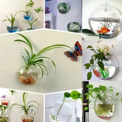 1+1 Gratis | Elegante Glas-Wandvase – Minimalistischer Pflanzenhalter Mivoza Deutschland
