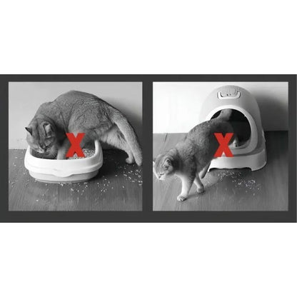 Katzenstreumatte – Halten Sie Ihre Böden sauber und streufrei! Mivoza Deutschland